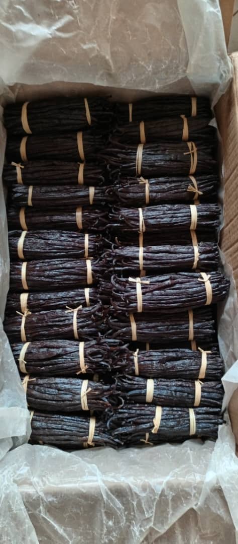 Boxed cured vanilla bean bundles